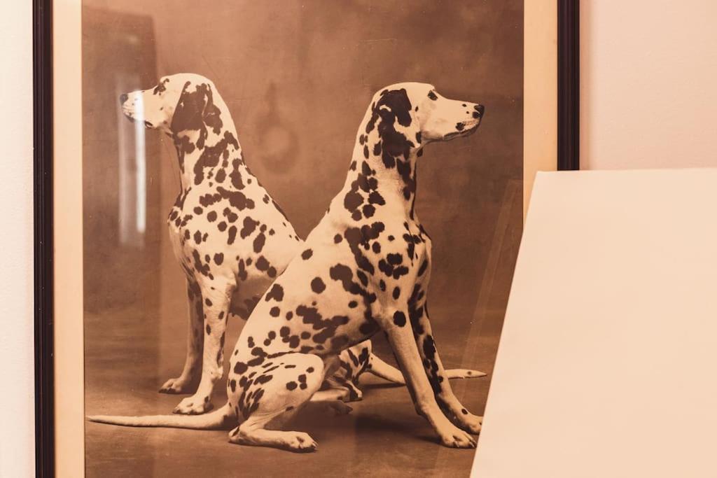 Art Studio Myslym Shyri Tiran Dış mekan fotoğraf